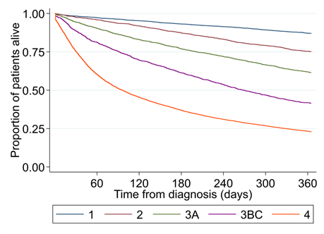 Proportion of patients alive