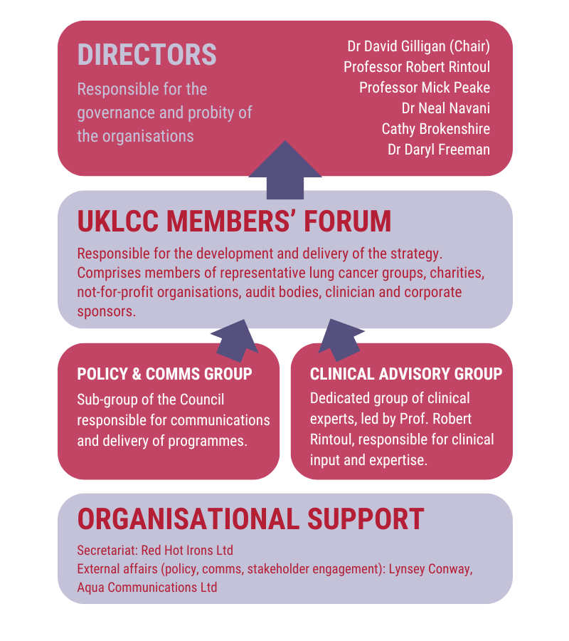 Organigram of UKLCC council structure. UKLCC members forum informs the directors. The policy and comms group and the clinical advisory group feed into the members&apos; forum. Red Hot Irons provide secretariat support and Aqua Communications provide external affairs support. 
